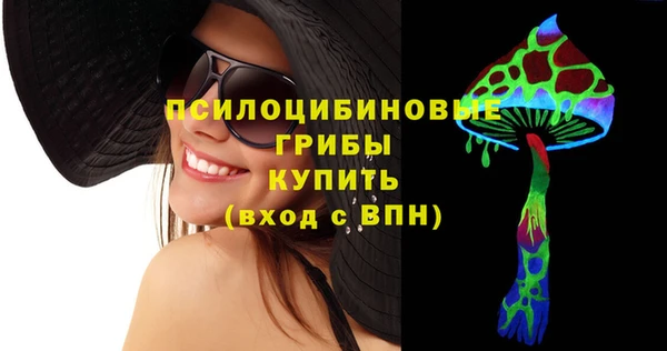 дживик Балахна