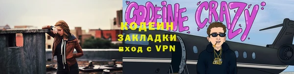 индика Балабаново