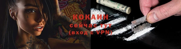 дживик Балахна