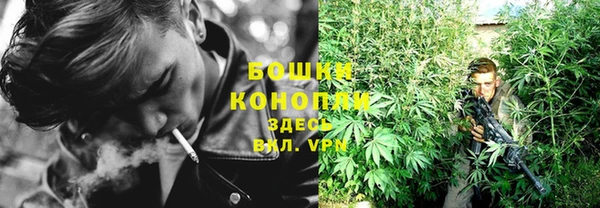 индика Балабаново