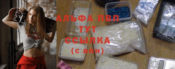 индика Балабаново