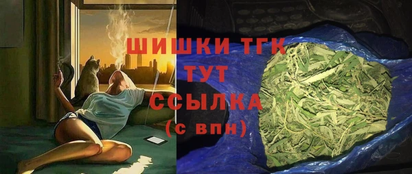 индика Балабаново
