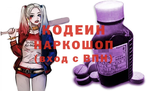 индика Балабаново