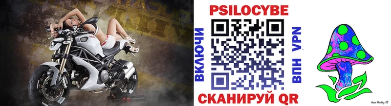 Псилоцибиновые грибы прущие грибы  наркошоп  Гдов 